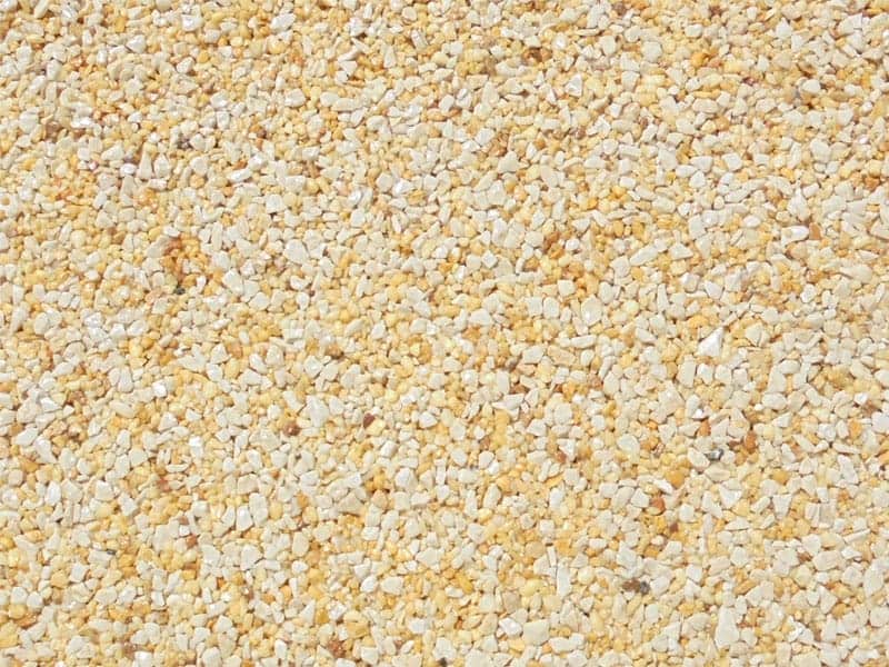 Maize